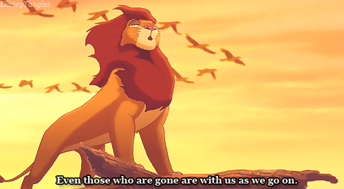 waltgifs:“Your journey has only begun.”
