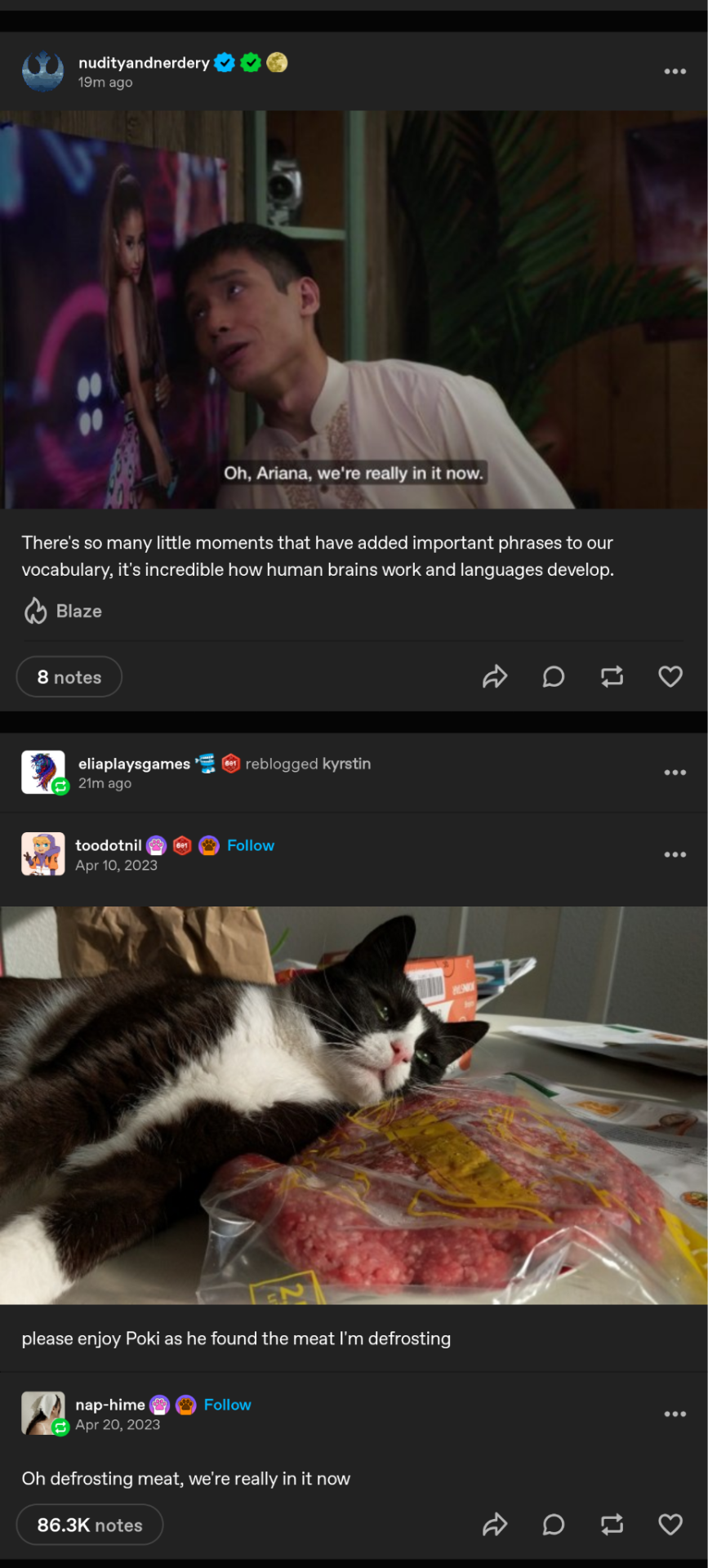 Tumblr media