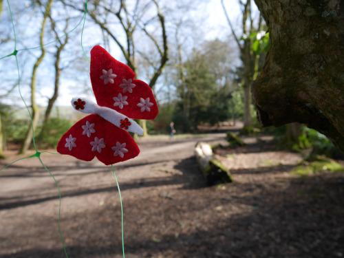 ‘Wool &amp; Wood Trail’ Installation pieces at Towneley Hall and Woods, Burnley, 6th April 2015. Lov