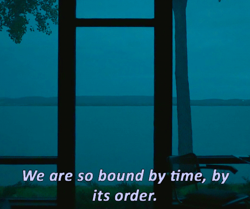 cinematv:ARRIVAL (2016), dir. Denis Villeneuve