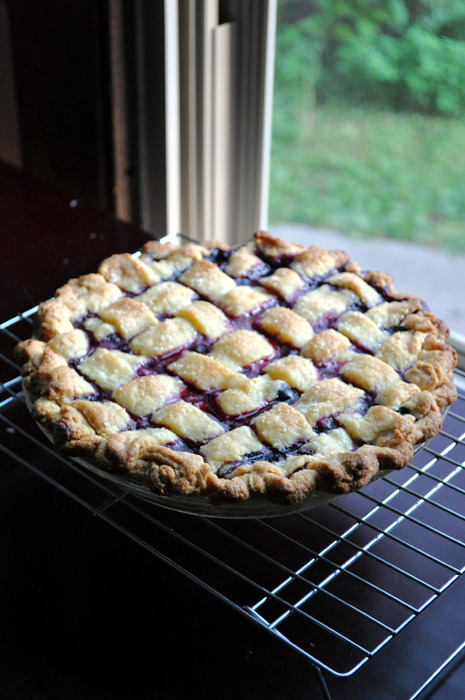 alloftheveganfood:  Vegan Pie Round Up for Pi Day Vegan Caramel Apple Pie Vegan Cherry