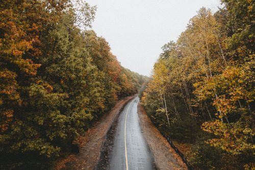 On the hunt for fall foliage around Great Bay