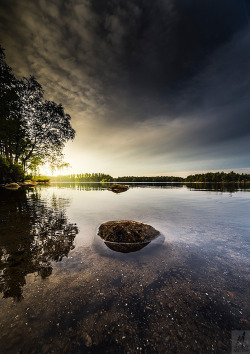 happymelvin: Cocoon…small alien pod in the lake here. This and many more of my photos are available in my @etsy shop as wall tapestries and more -&gt; HERE &lt;-   Any visit to my shops is always highly appreciated (and needed for my survival)!Etsy