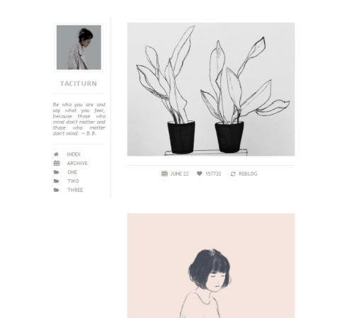 callyope: Theme 04. taciturn / preview | code customisable post sizes option for infinite scroll, fa