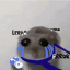 undrtayl