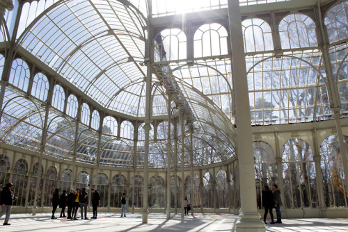 lavender-lunar-witch:Palacio de Cristal - Madrid