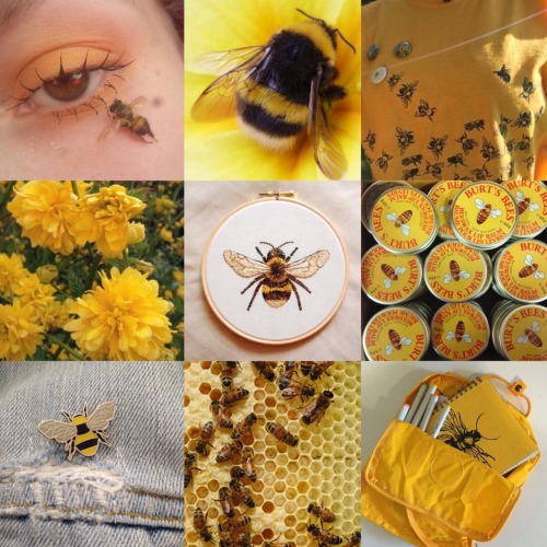 alittlehoodalittlehippie: cute bee aesthetic. not my picture, please lmk if you know who to credit ❤