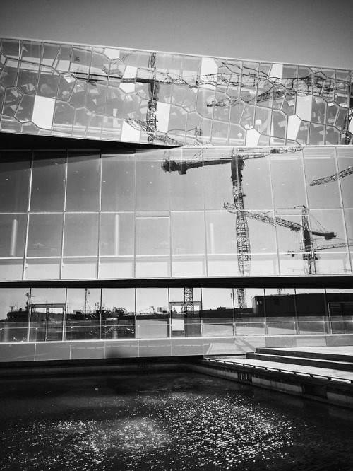 Reykjavík / Harpa / construction work