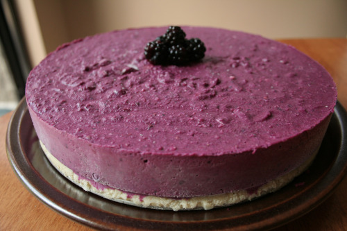 Blackberry Cheesecake