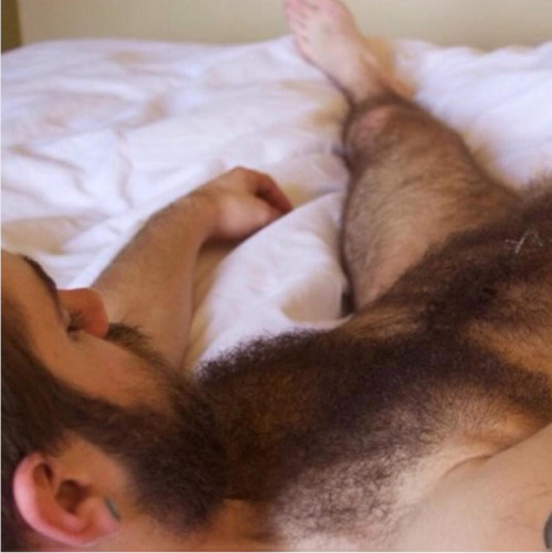 scruffy JIZZ monkey!