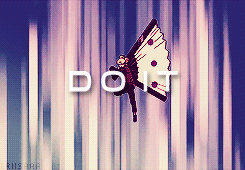Thoughts of a bird that can not fly...