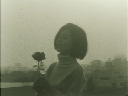 aozoramusume:  Émotion (Nobuhiko Obayashi, 1966) 