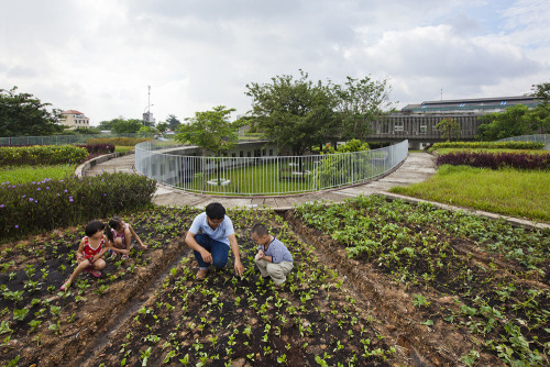 weareteachers: Vietnamese Kindergarten Teaches Gardening and Sustainabilityexpandedconsciousn