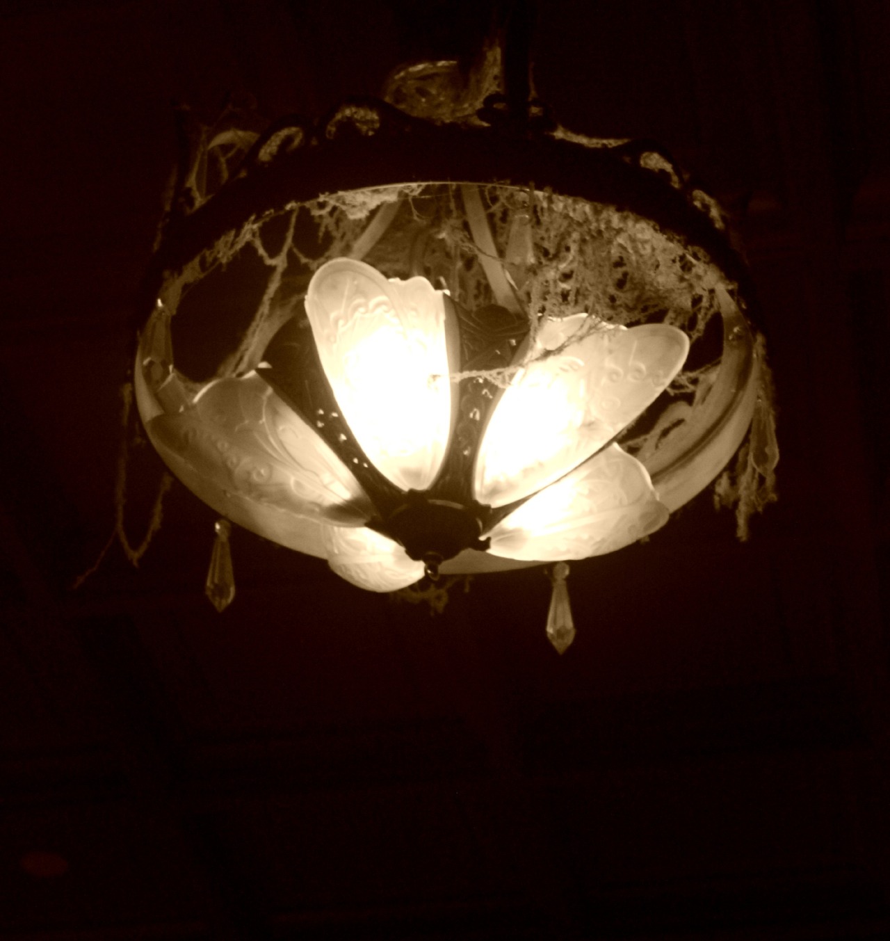 justlikedisney:  Don’t forget to check in… - Inside the Tower of Terror ϟ  