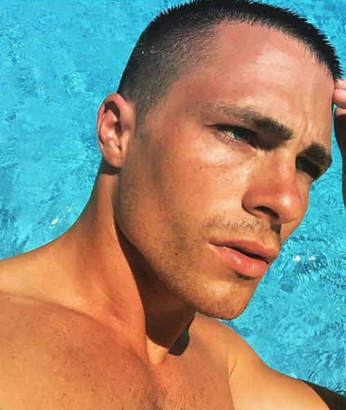 XXX hotfamous-men:  Colton Haynes photo