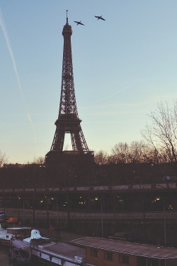 ivvvoo:  waking up in the Paris dawn | follow