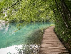 beautifulnature-blog:  Wooden path by the lake at Plitvice Lakes National Park, Croatia. [OC] [4592 x 3448] http://bit.ly/1xc31RX 