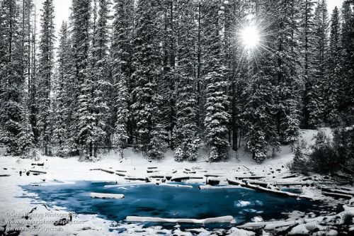 staceythinx:  A reminder of how beautiful this planet is from photographer Greg Boratyn