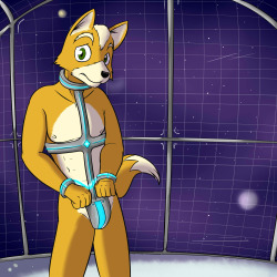 Star Fox in the Space Prison - Compilation