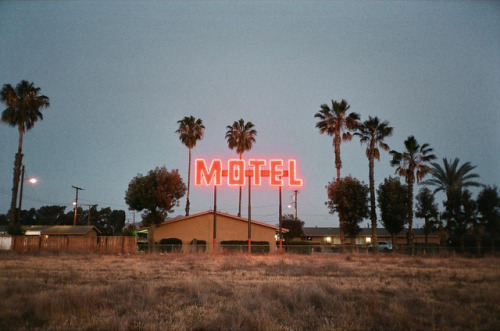 mayanhandballcourt: Photographer Carly Palmour