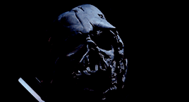 likeasummer:  MAY 4TH BE WITH YOU  “The Force is strong in my family. My father