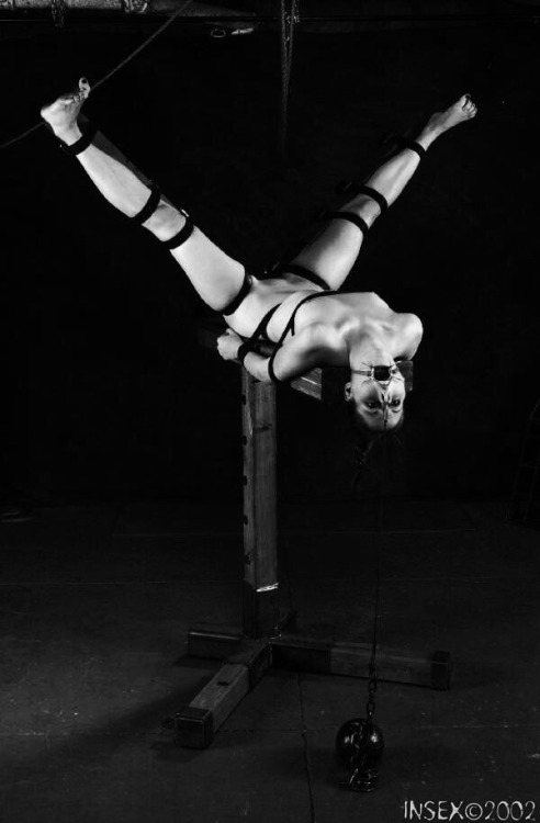 training-your-property:  At first, she was thrilled at the thought of being the ‘belle of the ball’.  Her owner kept telling her how every eye would be on her - how she would be the center of attention and every man would want a few moments of her