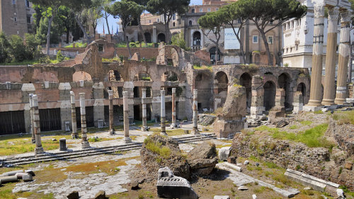 myhistoryblog: Ruins of Forum of Caesar, 46 BCE, Rome by edk7 on Flickr.