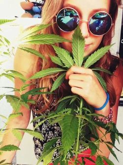 folha-de-maconha:  Instagram