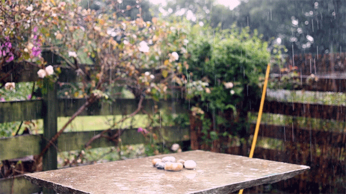 thebacchant:saoirseclohessy:Never ending Irish rain by Saoirse Clohessy