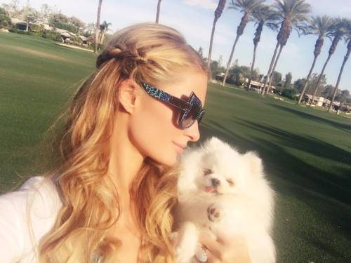 Porn parishilton:  So in love with my lil precious photos