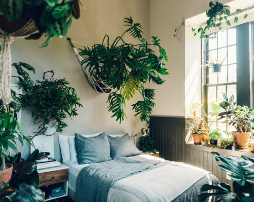 urbanjungle:Plant-filled loft adult photos