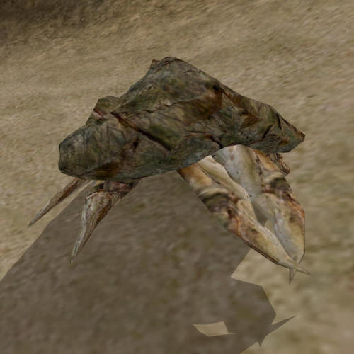 uesp:Something I Appreciated: The omnipresent mudcrab being featured in Morrowind, Oblivion, and Sky