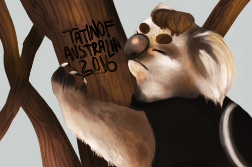 pinofs: originally a design for dan’s twitter header, daniskoalakoalakoala and amazingkoala were jus