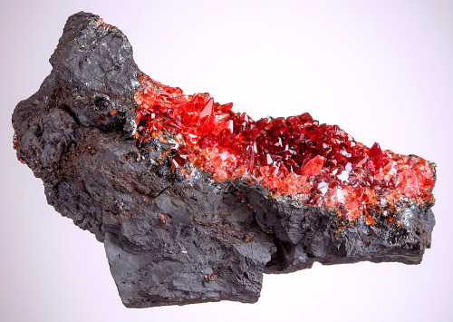 bijoux-et-mineraux: Rhodochrosite on Manganese matrix - N'Chwaning Mines, Kuruman, Kalahari mangane