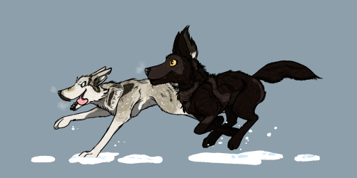  My partner’s wolf Moon Moon, and my wolf Big Awoo, from our Wolf Quest gameOne is eager to pe