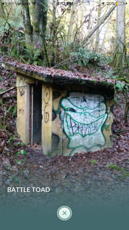 catpun: the only gym visible from my house is this graffitied shed called the “battle toad&rdq