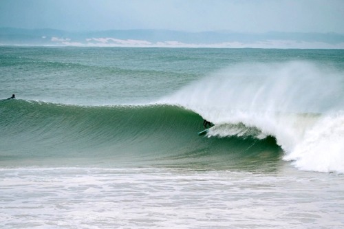 theexcellent-blog: Ellis South Africa