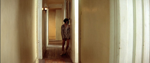 Léon: The Professional, 1994 Director - Luc BessonCinematography - Thierry Arbogast