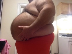 chubstermike:  fatfanplus:  I didn’t realize I was this fat until I saw this photo.   Well, it looks good, very good on you!!! Woof..