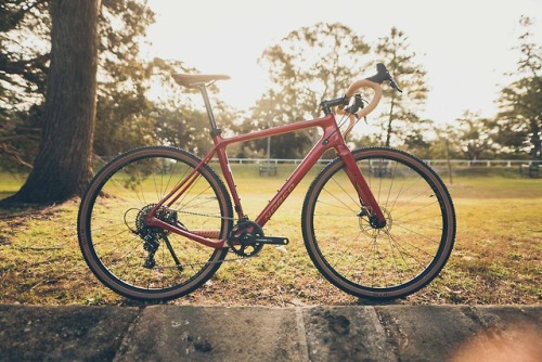 aces5050: (via Norco and Merida 2019 Range Highlights Video - Flow Mountain Bike - Flow Mountain Bik