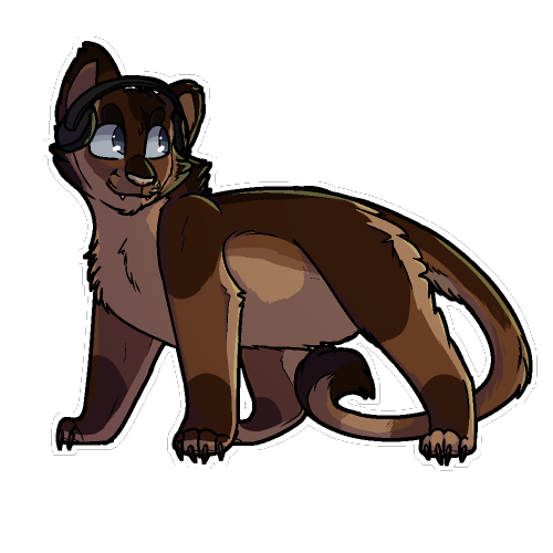 dragofelid