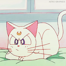 Artemis Sailor Moon Explore Tumblr Posts And Blogs Tumgir Artemis Sailor Moon Explore Tumblr Posts And Blogs Tumgir