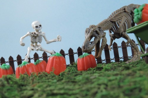 doubledealer93:First day of fall. The harvest begins.