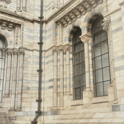 sobforsirius:london natural history museum (ig: kristinelizabeths)