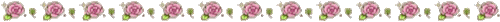 Rose Dividers