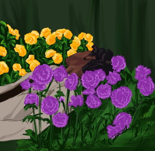 Roses And Dahlias