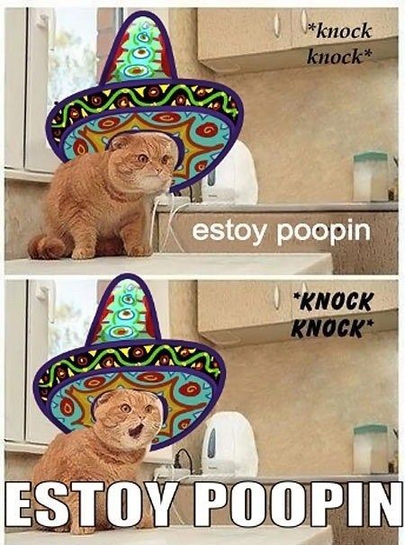 open sesame