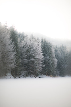 definitelydope:  A Winter Daybreak