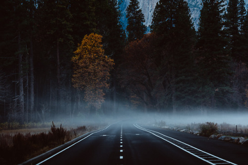 jasonincalifornia: That Yosemite Valley Mist pt. 2