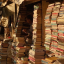 self-indulgentlibrary